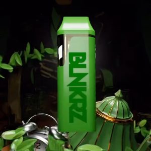 blnkerz 2g dispo