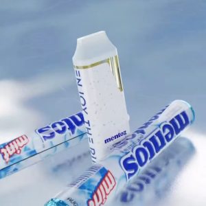 blnkrz disposable 2 gram, blnkrz, blnkrz dispo, blnkrz disposable, blnkrz cart, blnkrz vape, blnkrz wax, blnkrz thc disposable, blnkrz 2g disposable, blnkrz 2 gram disposable
